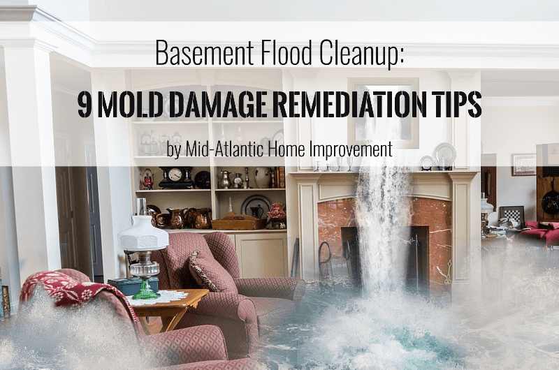 Basement Flood Cleanup: 9 Mold Damage Restoration Tips
